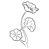 cropped-cropped-Cafecress_wit-08.png